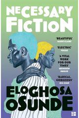 Necessary Fiction