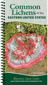 Common Lichens of the Eastern United States: Easily Identify 58 Widespread Types