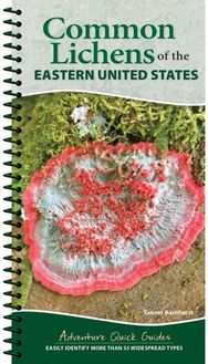 Common Lichens of the Eastern United States: Easily Identify 58 Widespread Types