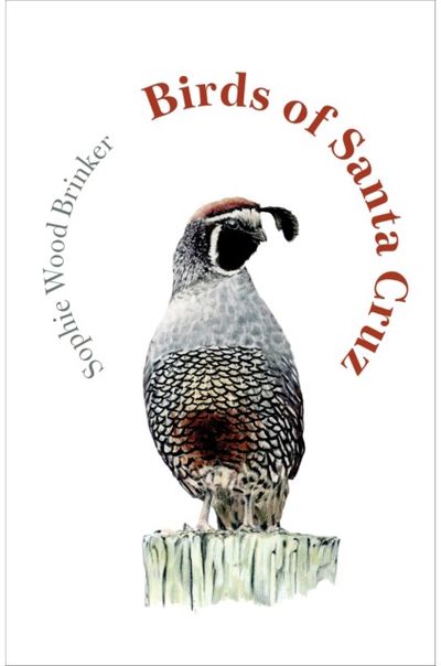 Birds of Santa Cruz