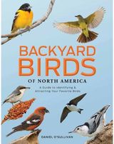 Backyard Birds of North America: A Guide to Identifying and Attracting Your Favorite Birds