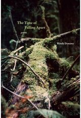 Time of Falling Apart: Poems