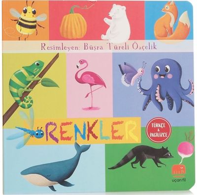 T?rk?e ve Ingilizce - Renkler