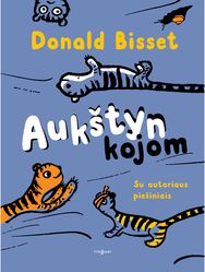 Aukštyn kojom