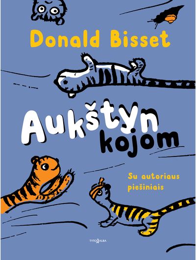 Aukštyn kojom