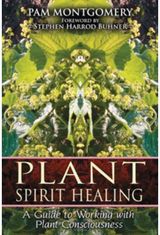 Plant Spirit Healing: A Guide to Working with Plant Consciousness