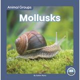 Mollusks