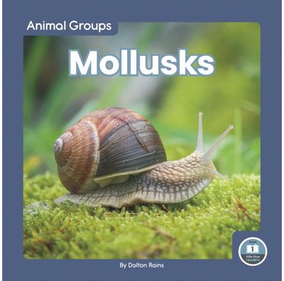 Mollusks