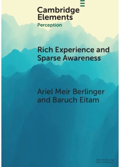 Rich Experience and Sparse Awareness: Sensing More Than We Know