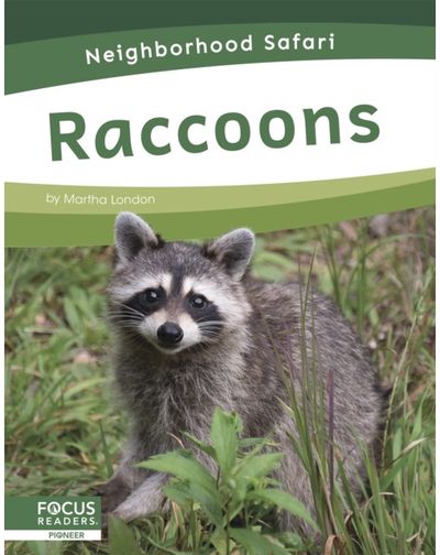 Raccoons