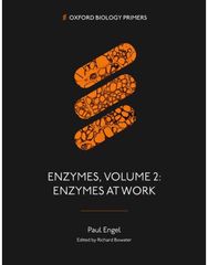 Enzymes, Volume 2: Enzymes at Work