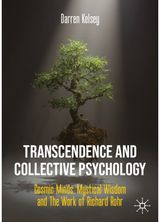 Transcendence and Collective Psychology: Cosmic Minds, Mystical Wisdom and the Work of Richard Rohr