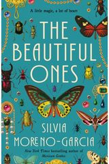 Beautiful Ones: A Novel