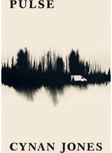 Pulse: Shortlisted for the Wales Fiction Book of the Year