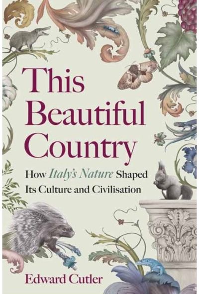 This Beautiful Country: How Italy's Nature Shaped Its Culture and Civilisation