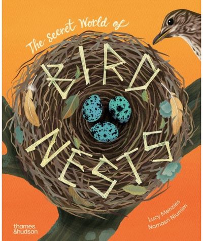 Secret World of Bird Nests