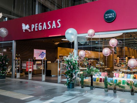 Kaune duris atvėrė didžiausias regione PEGASAS